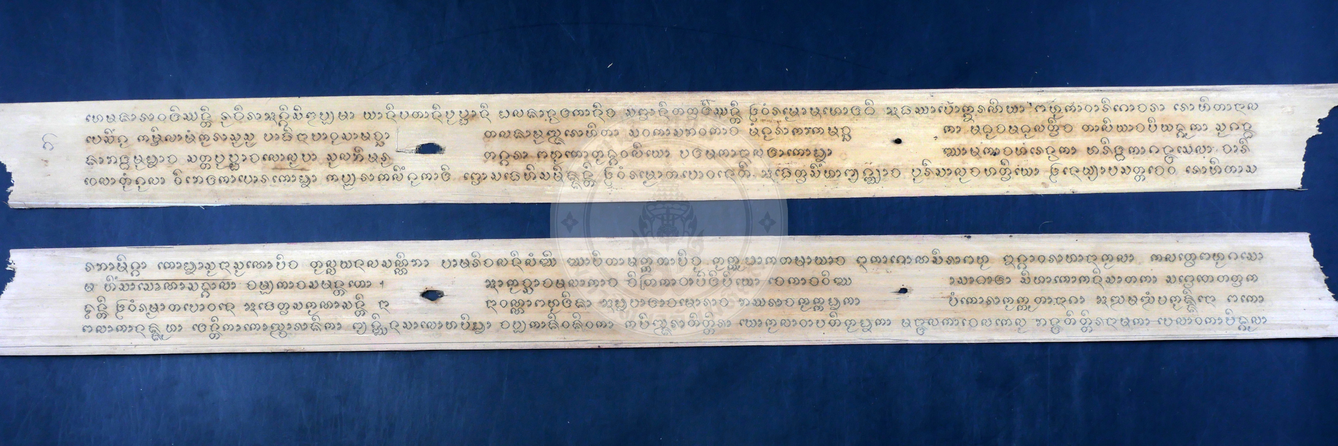 P1054931