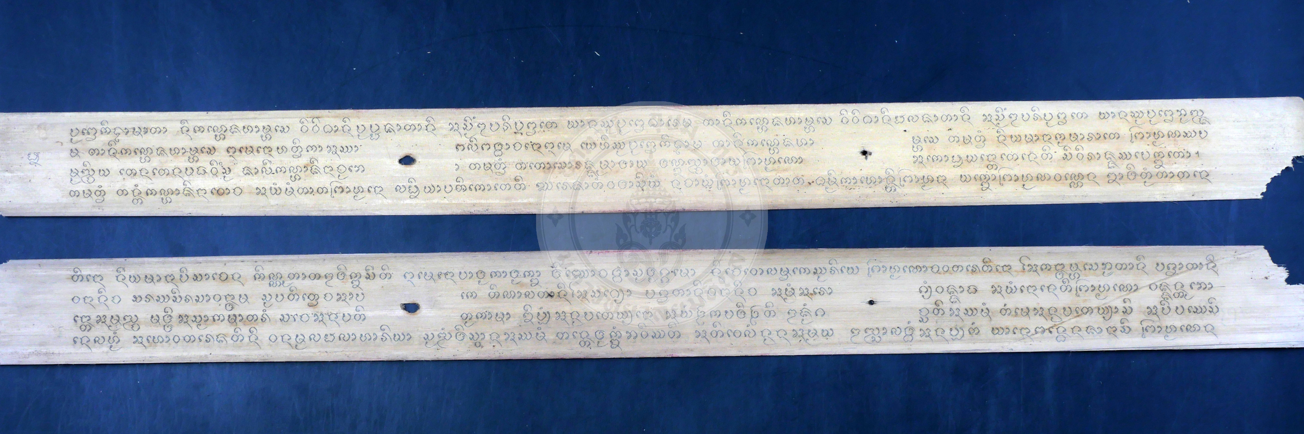 P1054939
