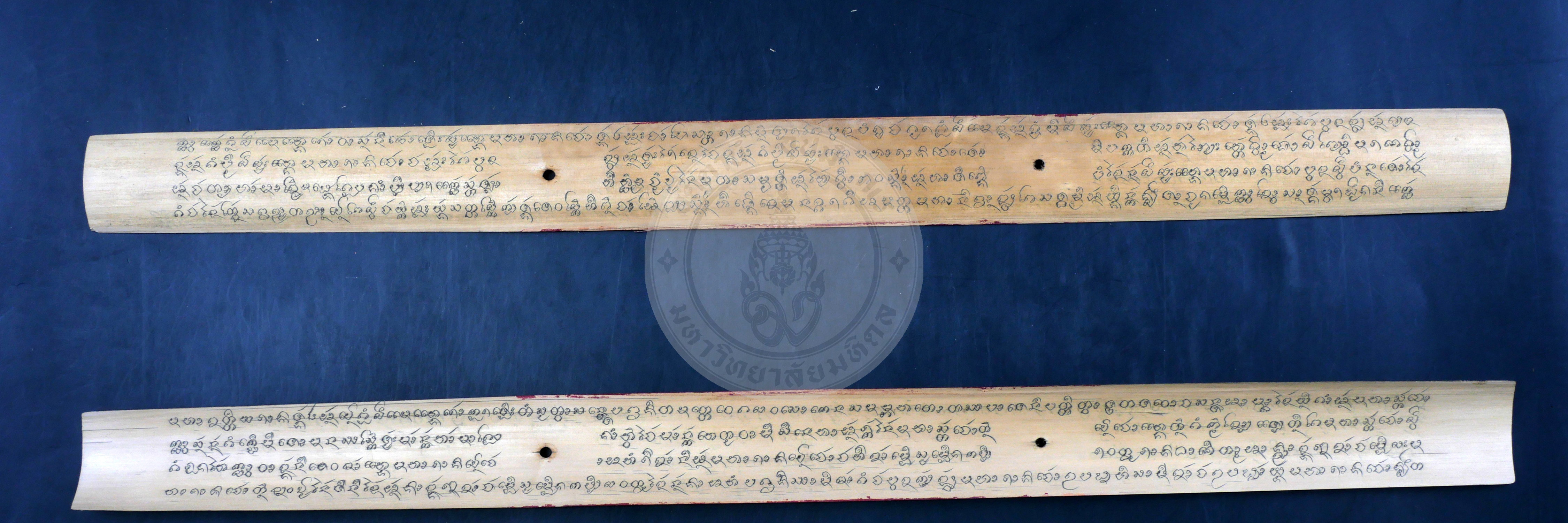 P1055252