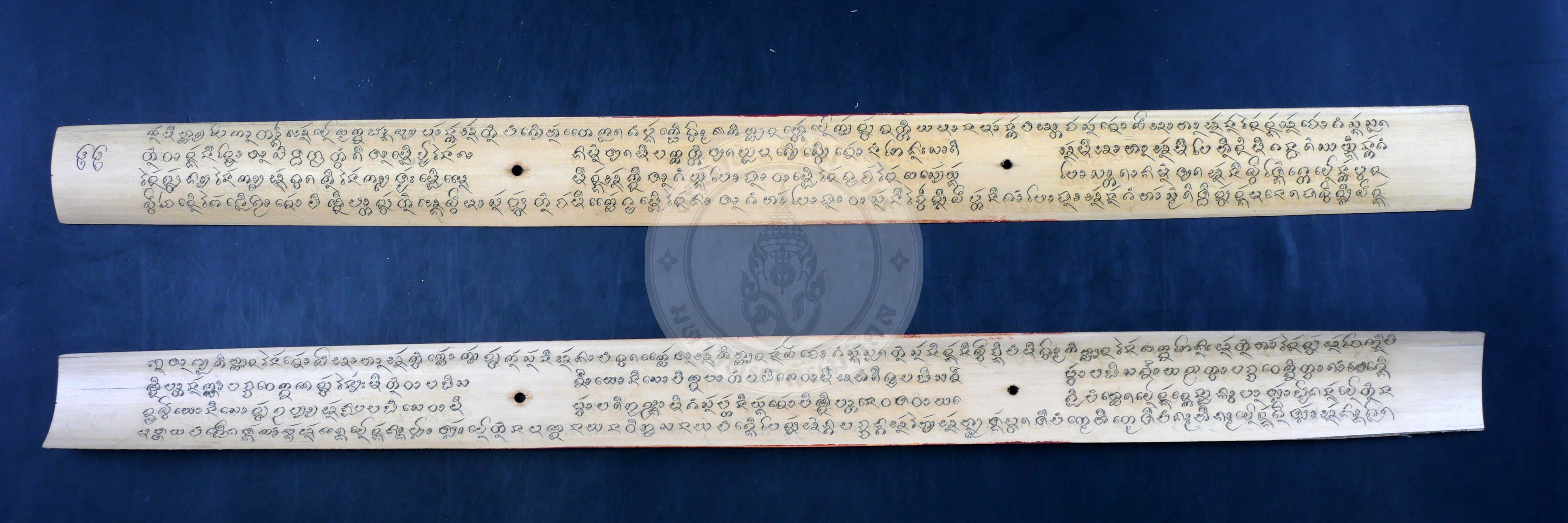 P1055259