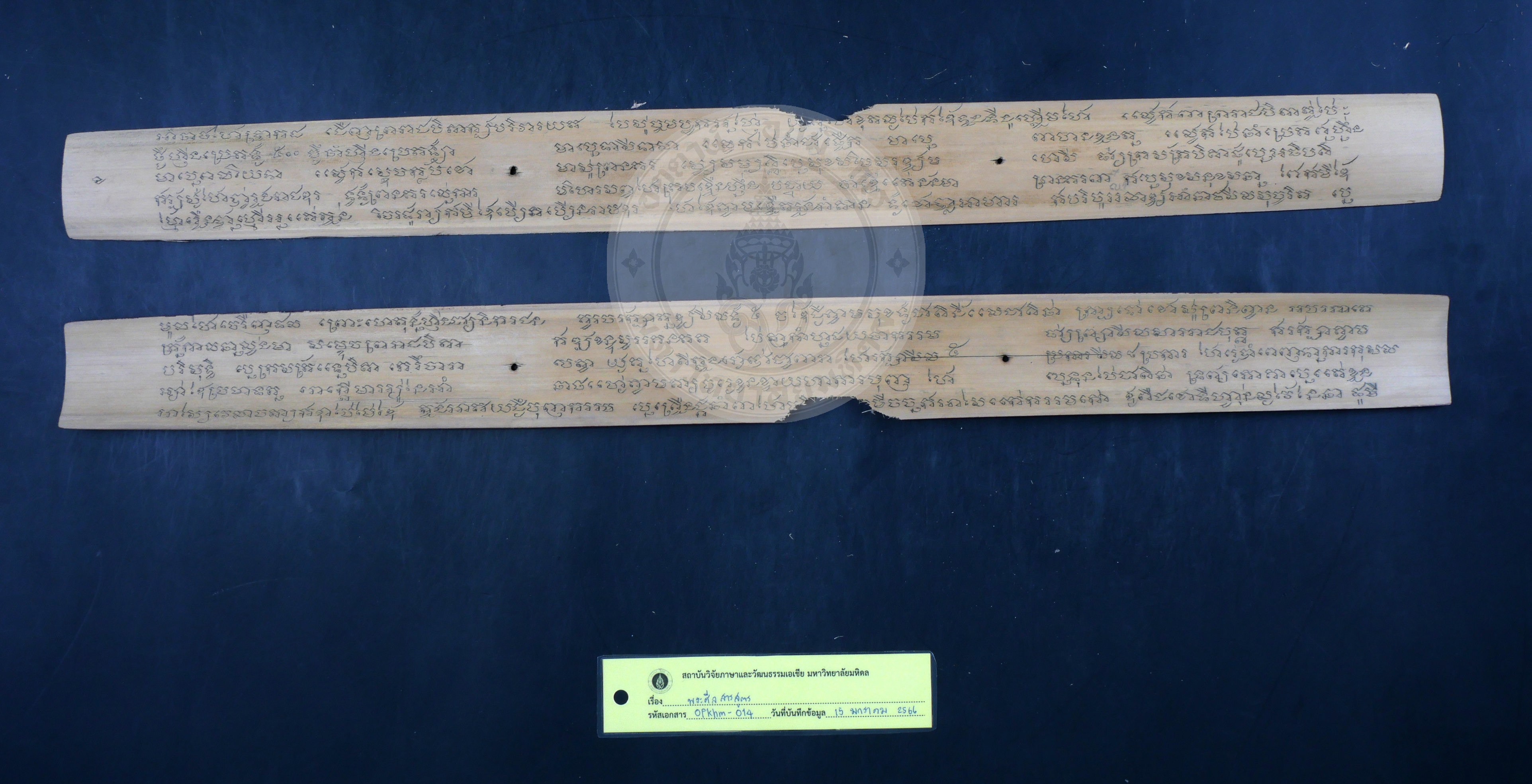 P1044428