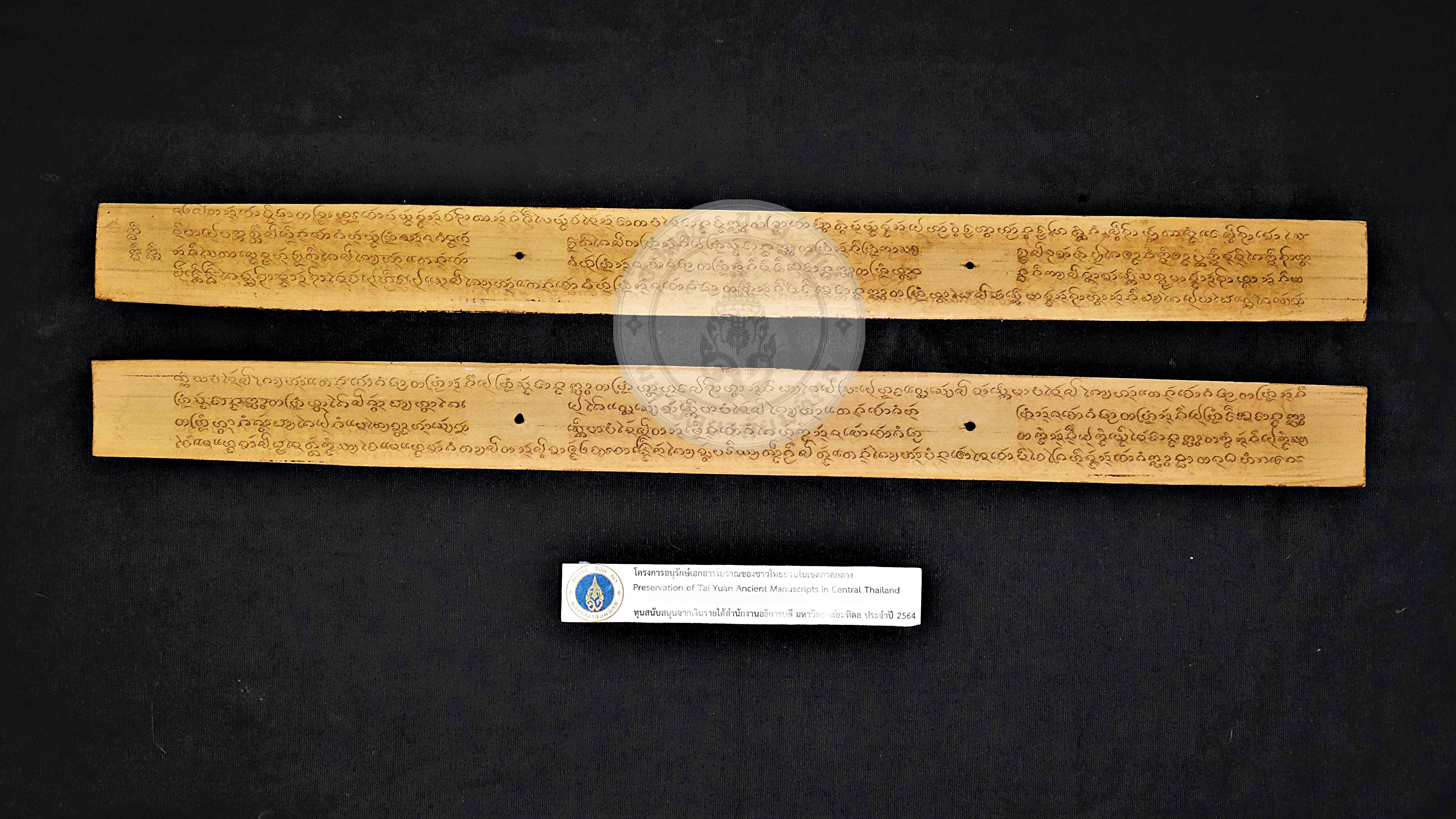 P1150895
