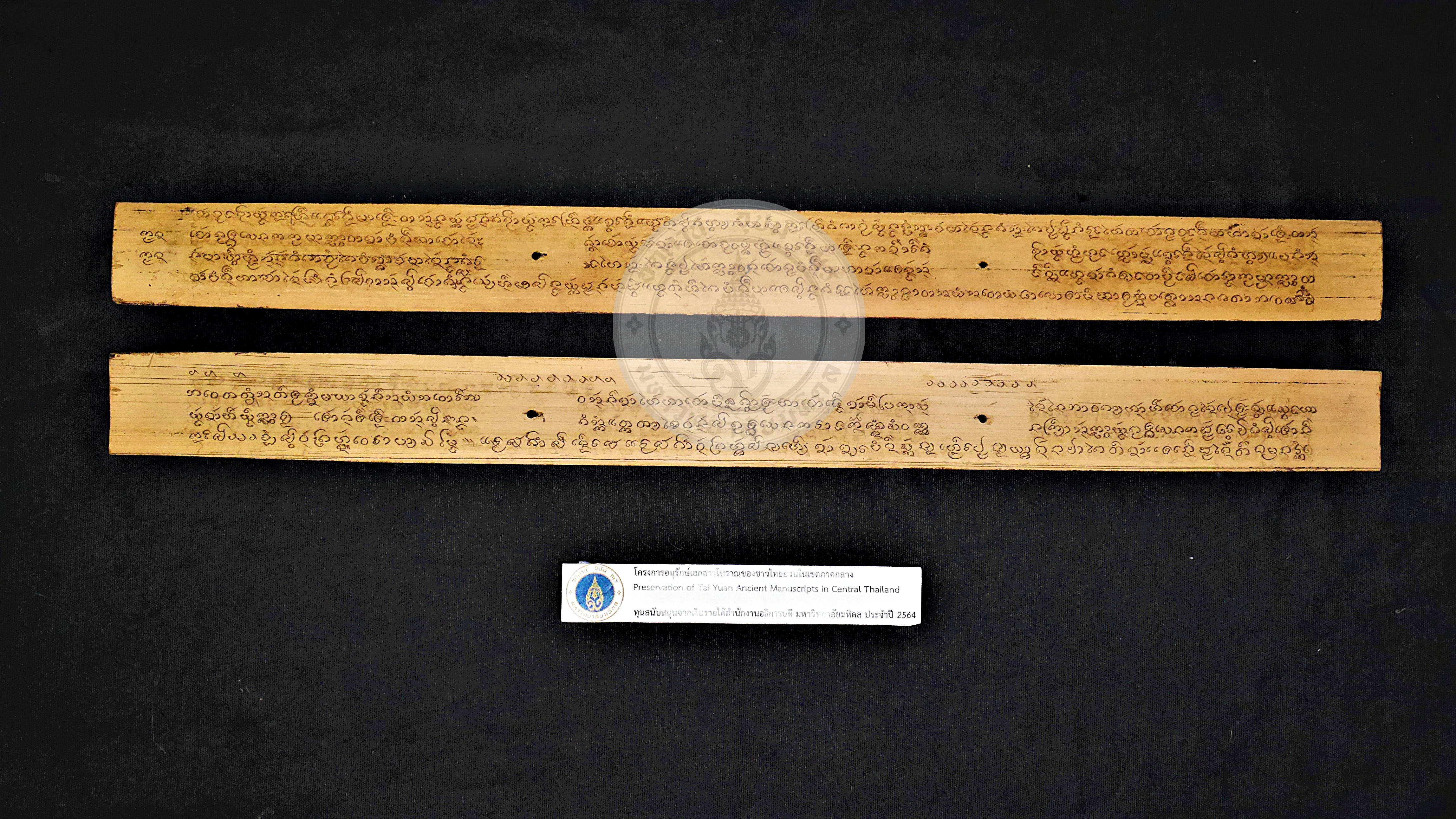 P1150898