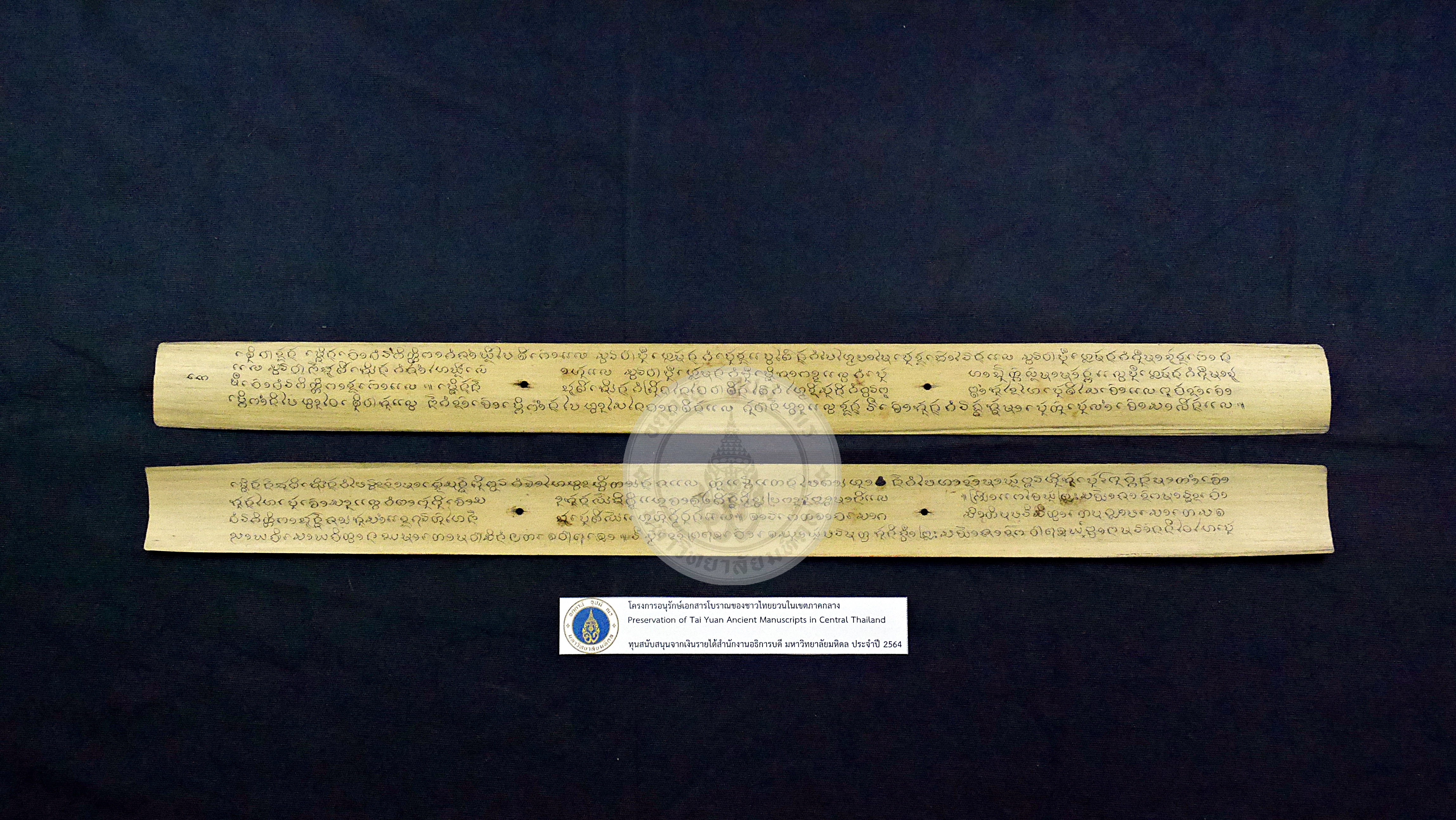 P1100107