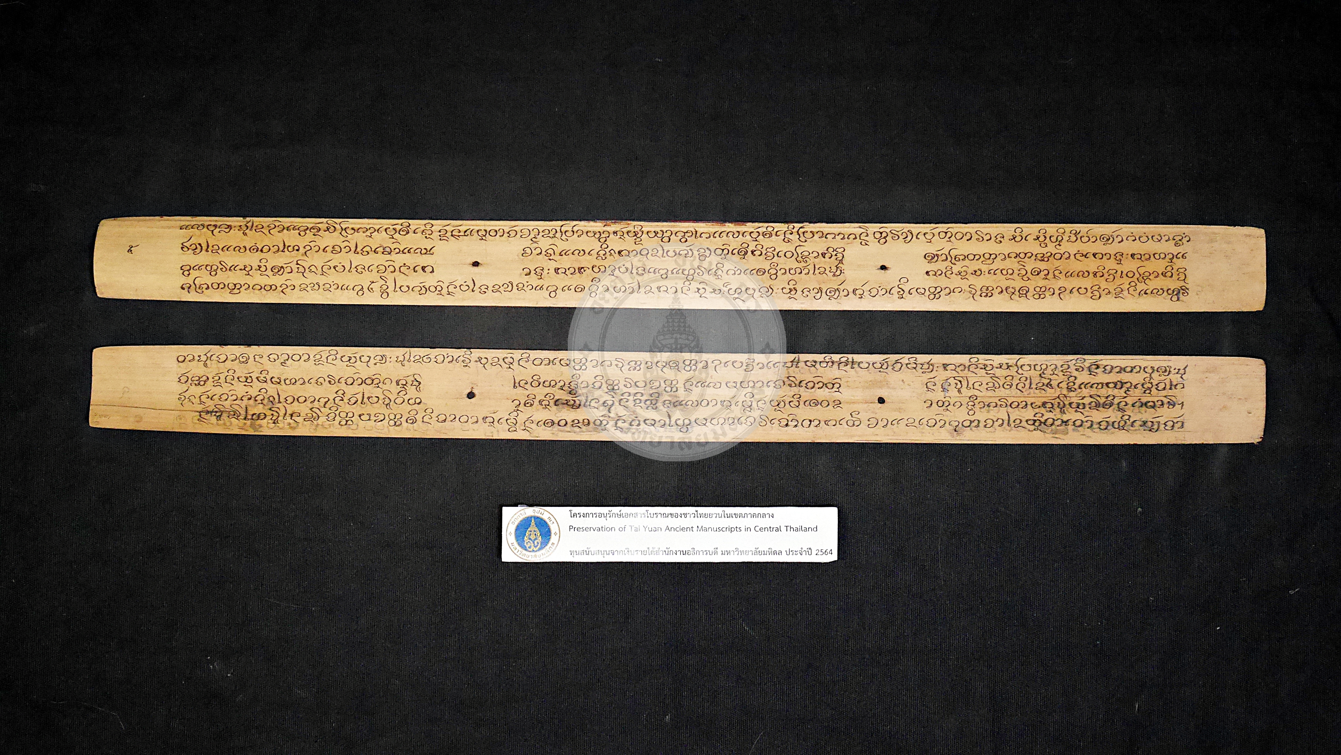 P1160027