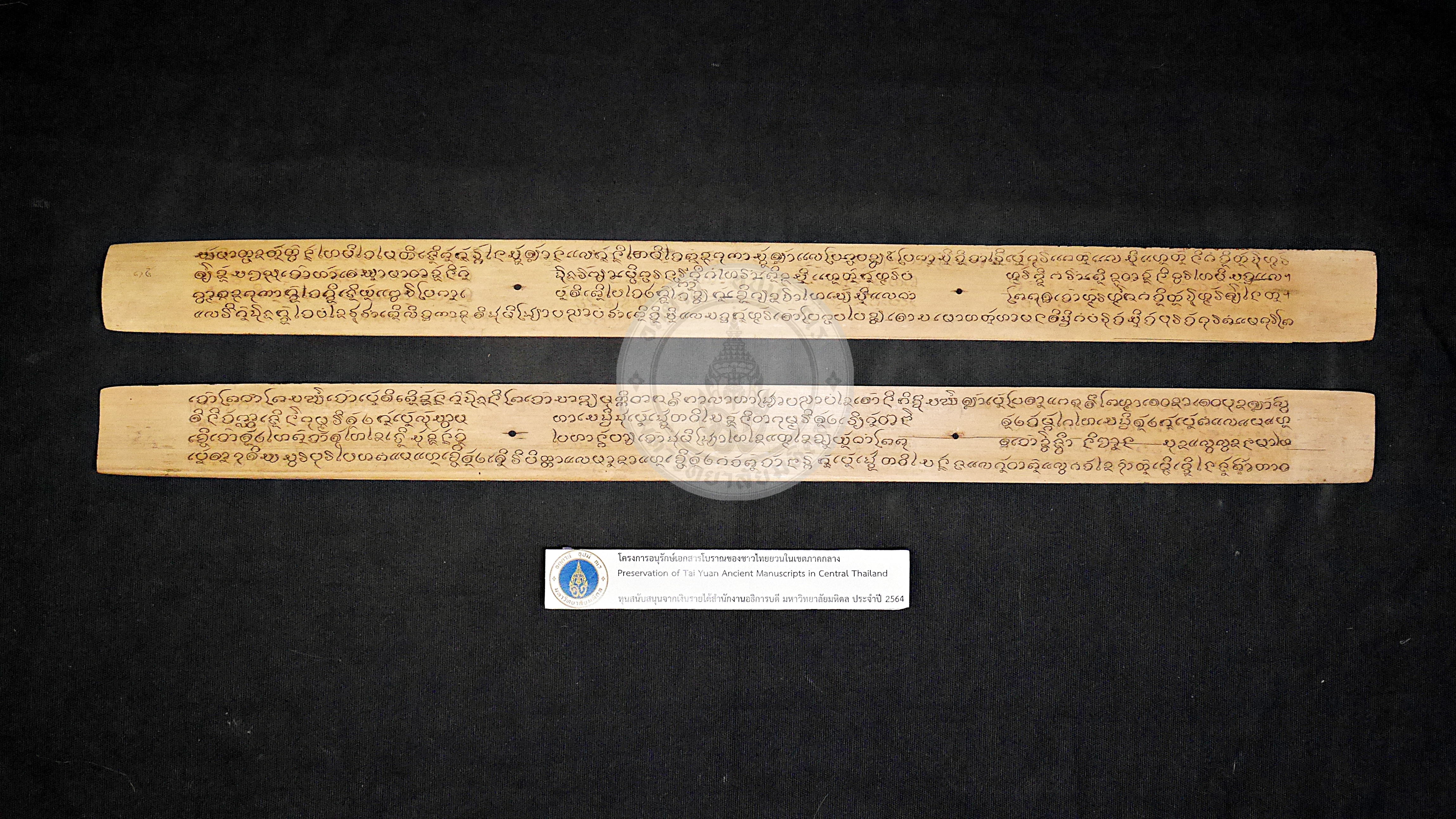 P1160037
