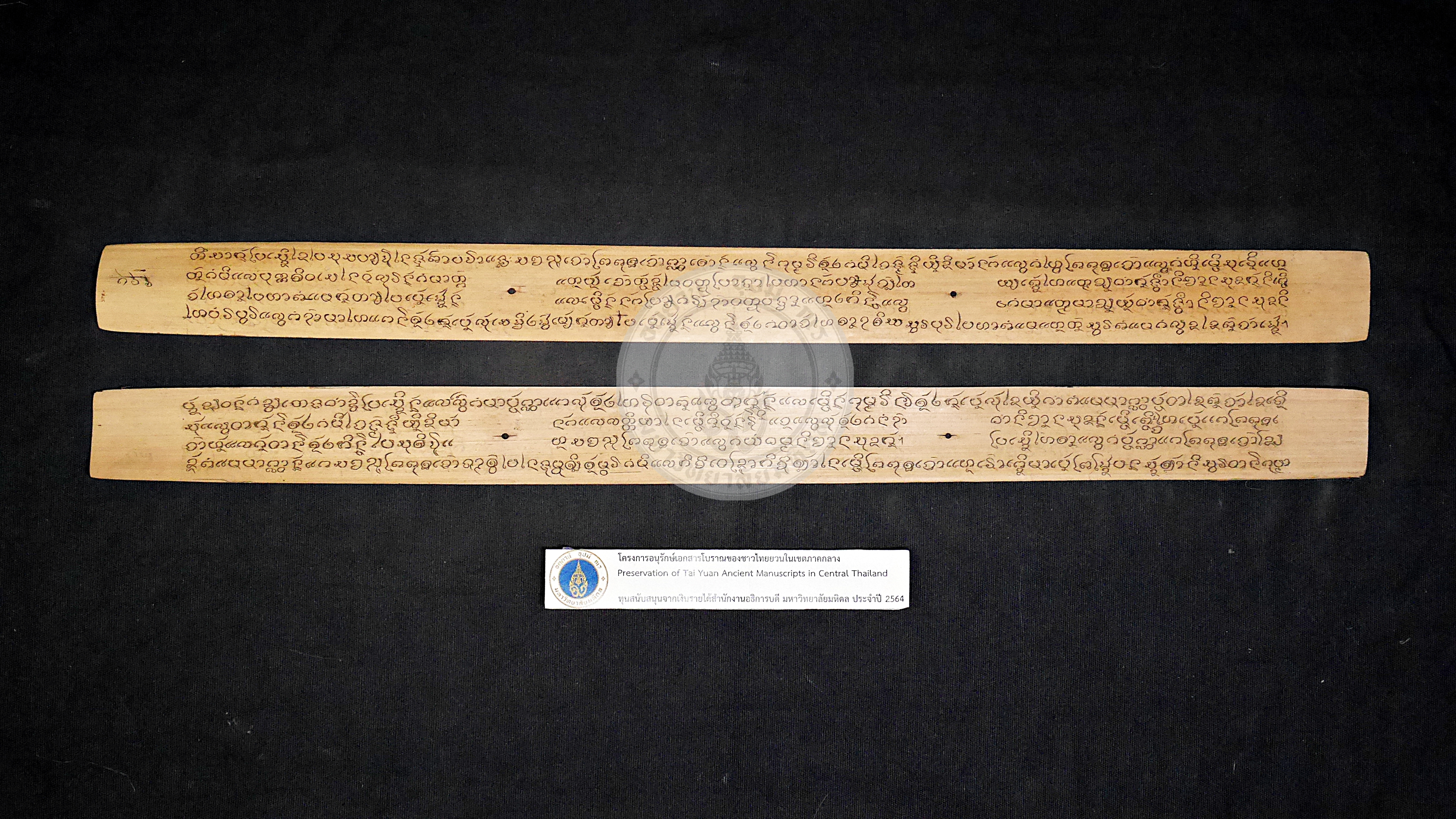 P1160038
